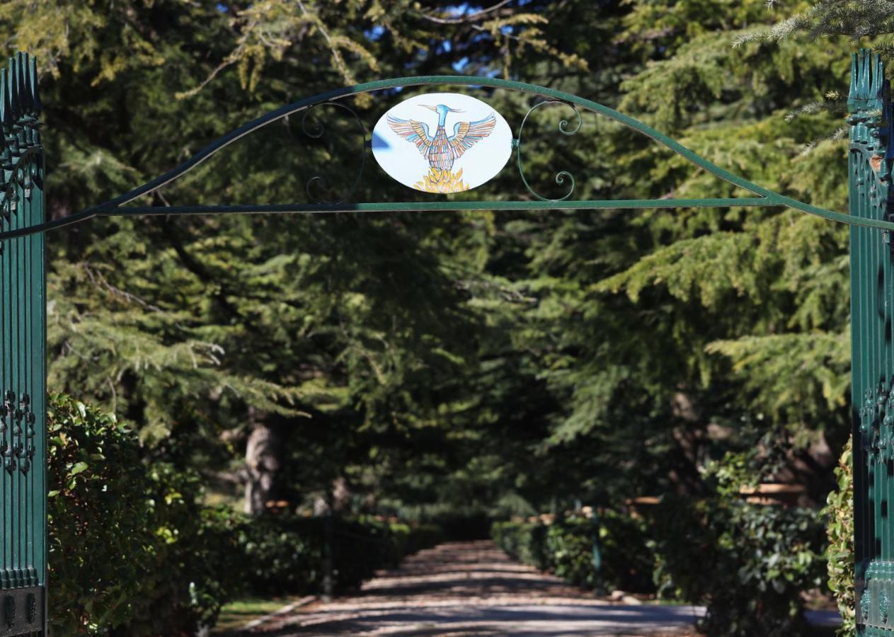 Villa Fenicia Ruvo di Puglia Esterno foto