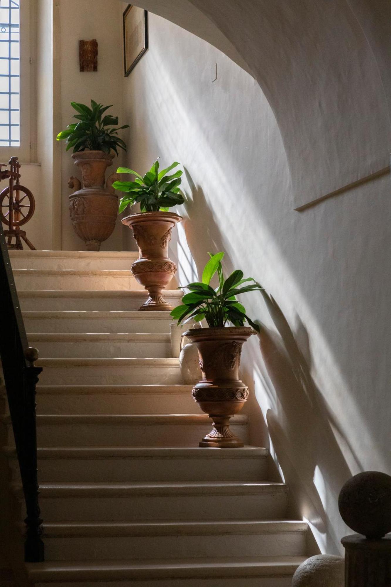 Villa Fenicia Ruvo di Puglia Esterno foto