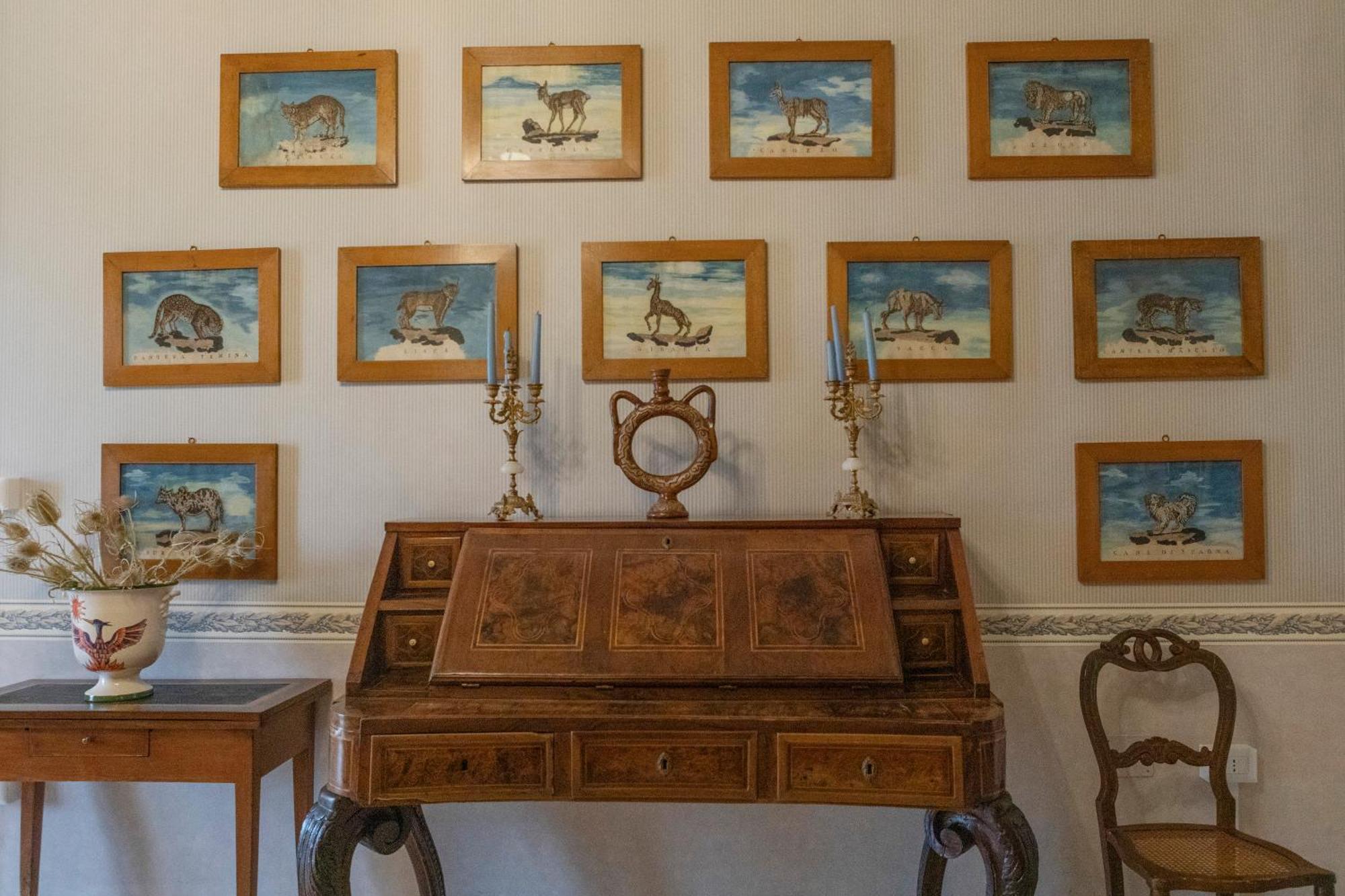 Villa Fenicia Ruvo di Puglia Esterno foto